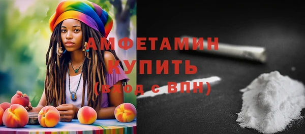 гидра Кулебаки
